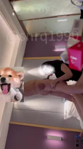 原创落地窗前操渐变紫袜熟女人妻叫声可射