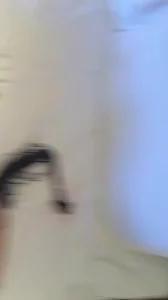 魔都后入人妻寻固看简介