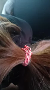 男男车车好快的车车动漫